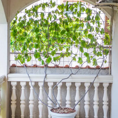 Little Kiwi House Blagaj
